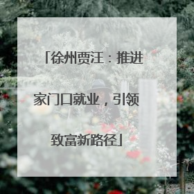 徐州贾汪：推进家门口就业，引领致富新路径