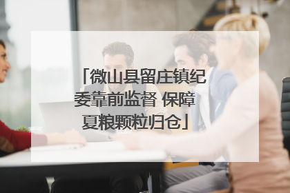微山县留庄镇纪委靠前监督 保障夏粮颗粒归仓