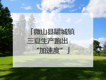 微山县驩城镇三夏生产跑出 “加速度”