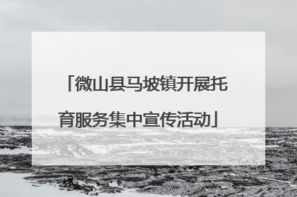 微山县马坡镇开展托育服务集中宣传活动