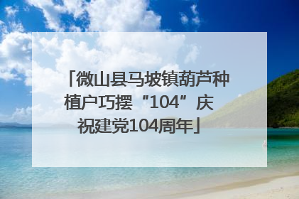 微山县马坡镇葫芦种植户巧摆“104”庆祝建党104周年