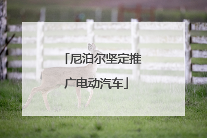 尼泊尔坚定推广电动汽车