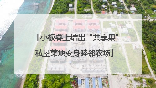 小板凳上结出“共享果” 私垦菜地变身睦邻农场