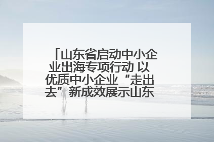 山东省启动中小企业出海专项行动 以优质中小企业“走出去”新成效展示山东产业发展新形象
