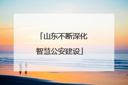 山东不断深化智慧公安建设
