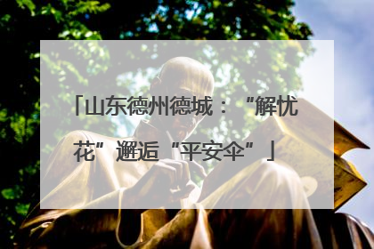 山东德州德城：“解忧花”邂逅“平安伞”