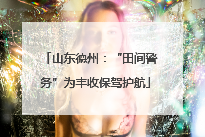 山东德州：“田间警务”为丰收保驾护航