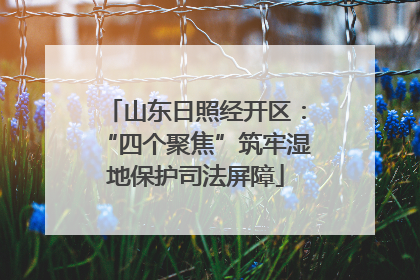 山东日照经开区：“四个聚焦”筑牢湿地保护司法屏障