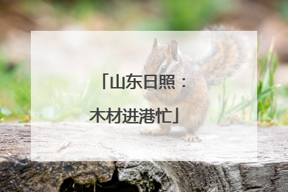 山东日照：木材进港忙