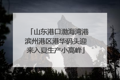 山东港口渤海湾港滨州港区港华码头迎来入夏生产小高峰