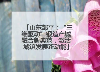 山东邹平：“三维驱动”锻造产城融合新典范，激活城镇发展新动能