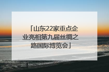 山东22家重点企业亮相第九届丝绸之路国际博览会
