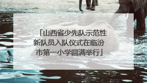 山西省少先队示范性新队员入队仪式在临汾市第一小学圆满举行