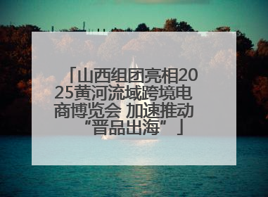 山西组团亮相2025黄河流域跨境电商博览会 加速推动“晋品出海”