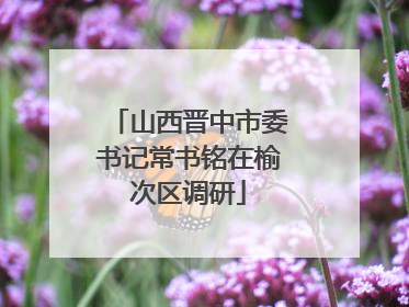 山西晋中市委书记常书铭在榆次区调研