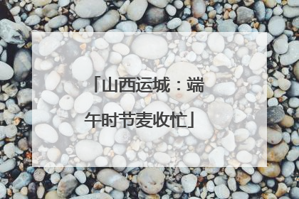 山西运城：端午时节麦收忙
