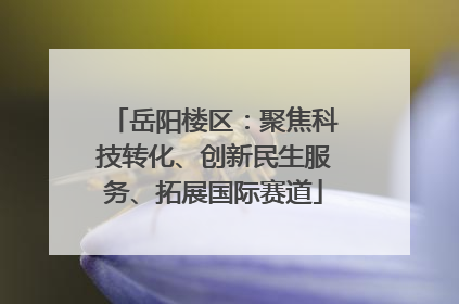 岳阳楼区：聚焦科技转化、创新民生服务、拓展国际赛道