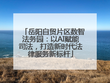 岳阳自贸片区数智法务园：以AI赋能司法，打造新时代法律服务新标杆