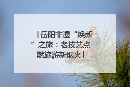 岳阳非遗“焕新”之旅：老技艺点燃旅游新烟火
