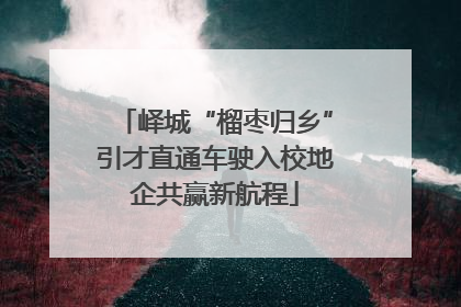 峄城“榴枣归乡”引才直通车驶入校地企共赢新航程