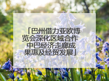 巴州借力亚欧博览会深化区域合作 中巴经济走廊成果惠及经贸发展