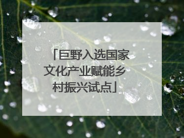 巨野入选国家文化产业赋能乡村振兴试点