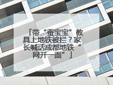 带“蚕宝宝”教具上地铁被拦？家长喊话成都地铁“网开一面”