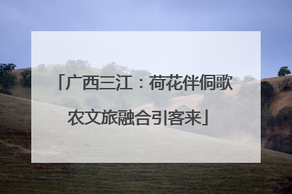 广西三江：荷花伴侗歌 农文旅融合引客来