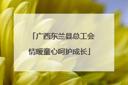广西东兰县总工会情暖童心呵护成长