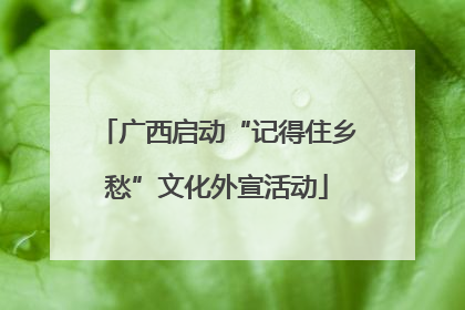 广西启动“记得住乡愁”文化外宣活动