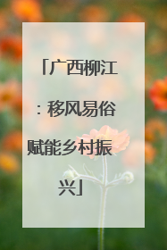 广西柳江：移风易俗赋能乡村振兴