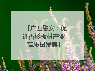 广西融安：促进香杉板材产业高质量发展