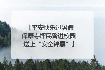 平安快乐过暑假 保康寺坪民警进校园送上“安全锦囊”