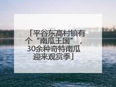 平谷东高村镇有个“南瓜王国”，30余种奇特南瓜迎来观赏季
