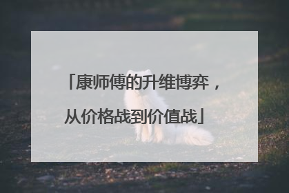 康师傅的升维博弈，从价格战到价值战