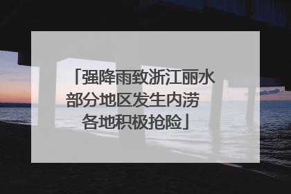 强降雨致浙江丽水部分地区发生内涝 各地积极抢险