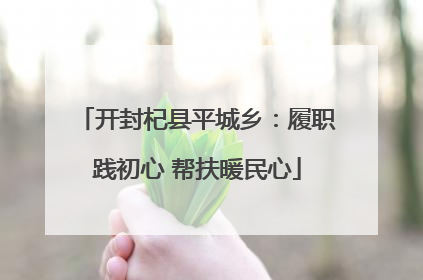 开封杞县平城乡：履职践初心 帮扶暖民心