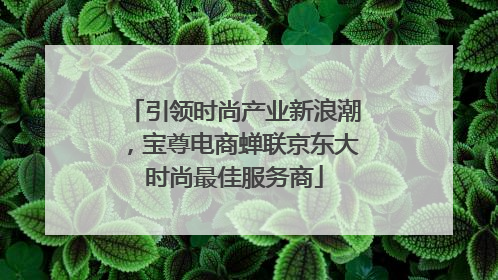 引领时尚产业新浪潮，宝尊电商蝉联京东大时尚最佳服务商