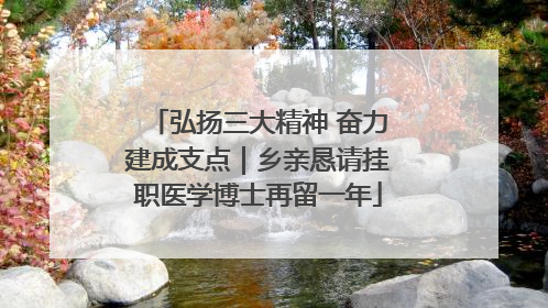 弘扬三大精神 奋力建成支点｜乡亲恳请挂职医学博士再留一年