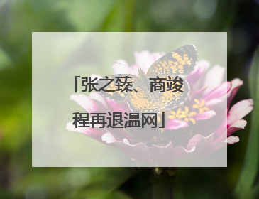 张之臻、商竣程再退温网