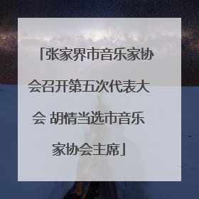 张家界市音乐家协会召开第五次代表大会 胡情当选市音乐家协会主席