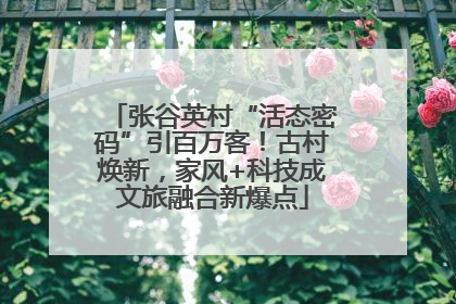 张谷英村“活态密码”引百万客！古村焕新，家风+科技成文旅融合新爆点