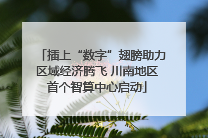 插上“数字”翅膀助力区域经济腾飞 川南地区首个智算中心启动