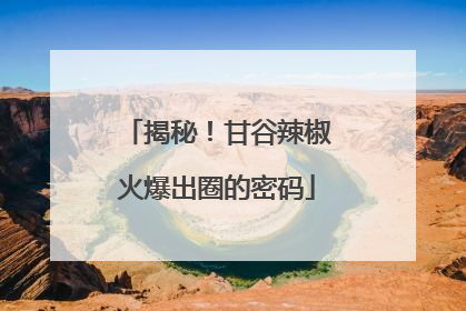 揭秘！甘谷辣椒火爆出圈的密码