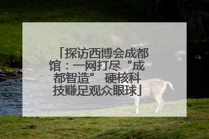 探访西博会成都馆：一网打尽“成都智造” 硬核科技赚足观众眼球