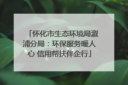 怀化市生态环境局溆浦分局：环保服务暖人心 信用帮扶伴企行