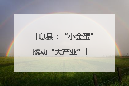 息县：“小金蛋”撬动“大产业”