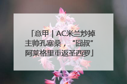 意甲｜AC米兰炒掉主帅孔塞桑，“囧叔”阿莱格里重返圣西罗