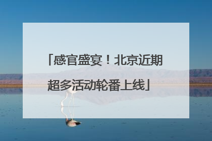 感官盛宴！北京近期超多活动轮番上线