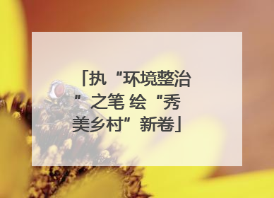 执“环境整治”之笔 绘“秀美乡村”新卷